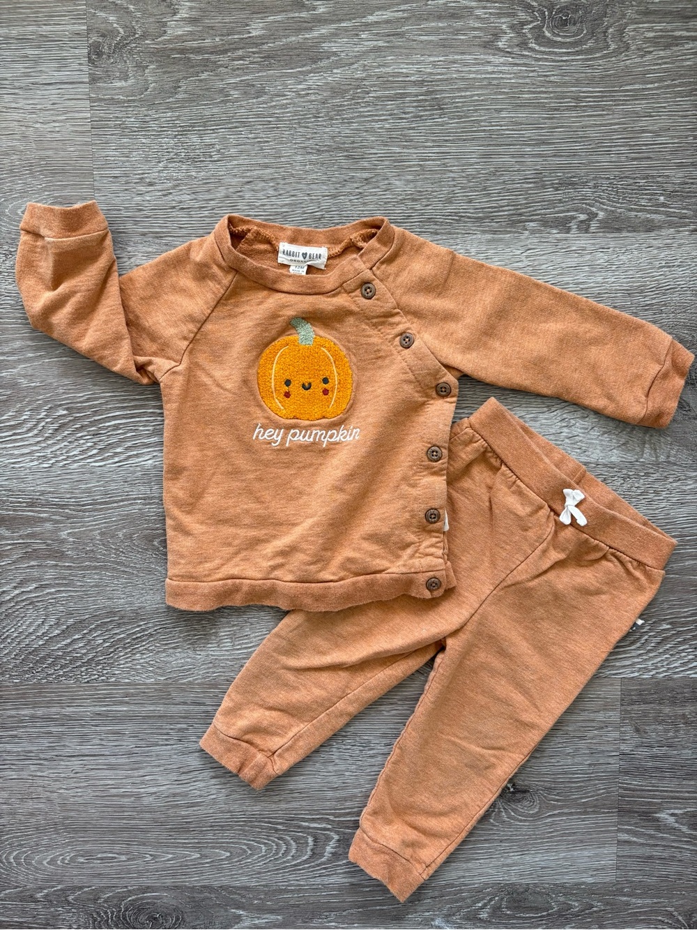 Organic Cotton Fall Outfit (12m)